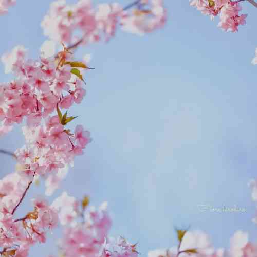 مصطفی ابراهیمی عشقم بدون فقط مال منی اشک تو چشمام حلقه زده